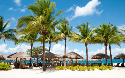 Image of a beach with palm trees and straw umbrellas.