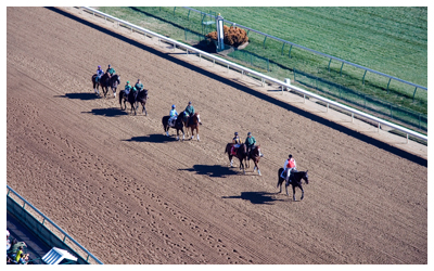 Photo of horses on a dirt race track.