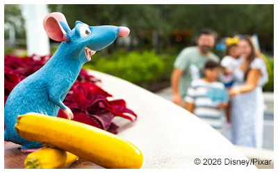 A view of the ratatoullie rat character.