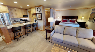 Platinum Studio with living area and kitchen