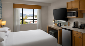 Studio with Kitchenette - One Queen Bed
