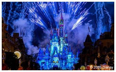 the nightly fireworks spectacular at the Magic Kingdom