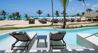 Master pool with 2 pool chairs and palm trees