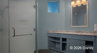 A mobility accessible bathroom featuring a roll-in shower and Vanity sink, mirror, and lights.