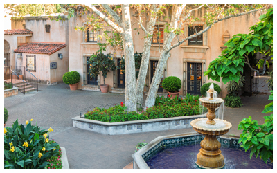 Image of a water fountain and trees in town.
