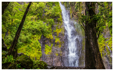 Image of Faarumai Waterfall on a Tahitian island.