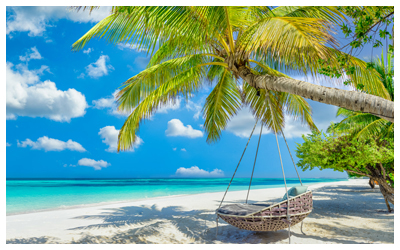 Image of a hammock hanging from a palm tree on a beach facing the ocean.