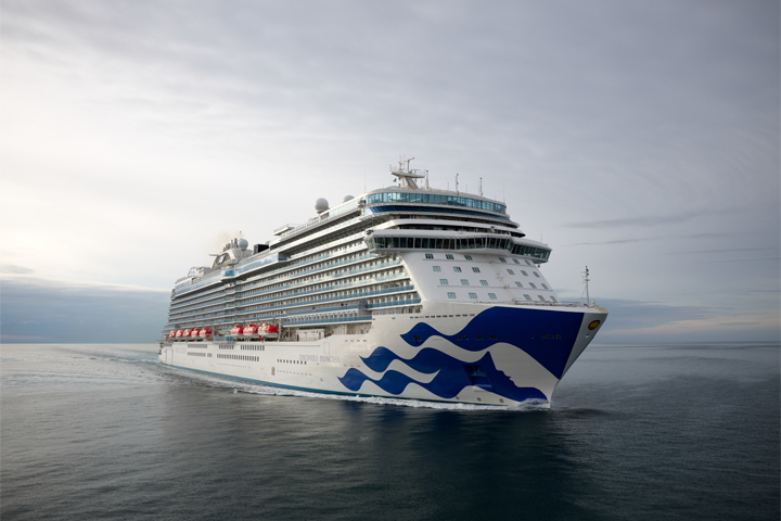 Discovery Princess ship image