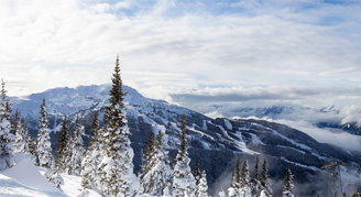 Image of snow covered mountains and trees in Whistler.