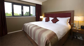 Image of a single bed in a Cocoon Suite.