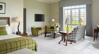 Image of the Deluxe Land Suite with one bed, seating area and adjacent window.