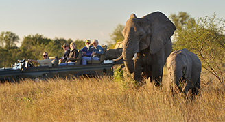Lion World Travel Platinum South Africa Exclusive Cape Town, Franschhoek 및 Sabi Sabi Private Game Reserve 여행
