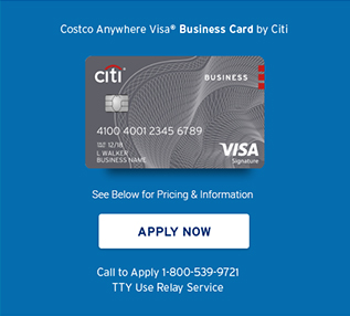 costco travel visa card