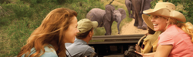 Guided Vacations
