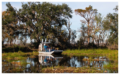 Airboat voyaging through a swamp