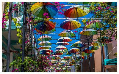 Umbrella-lined street.