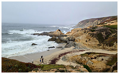 Bodega Head