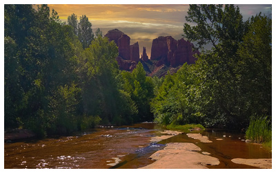 Stream through tress with mountains in the distance