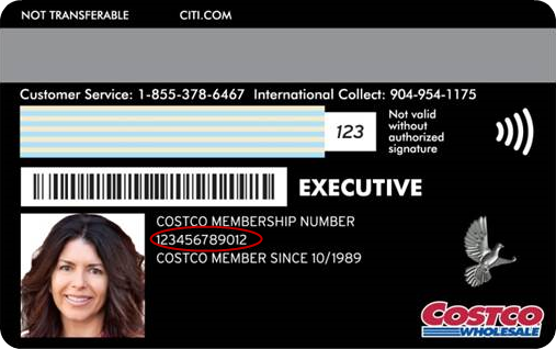 Costco Anywhere&reg; Visa Card by Citi Example