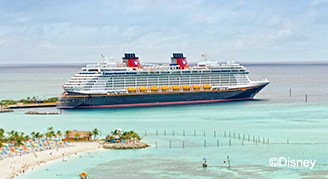 Disney Cruise Placeholder Form