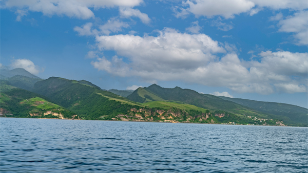 Cruise FPO 6