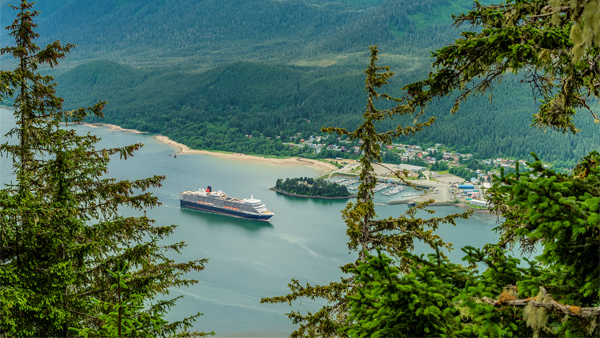 Cruise FPO 6