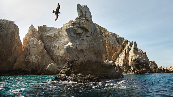 Discovery Princess ship image