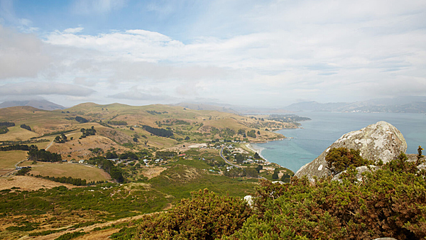 Discovery Princess ship image