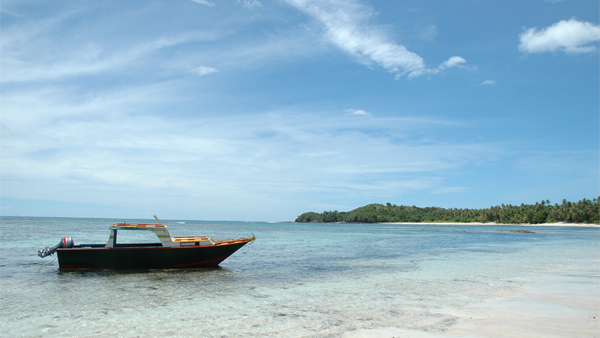 Cruise FPO 6