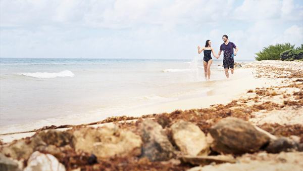 Regal Princess ship image