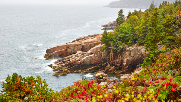 Sapphire Princess ship image