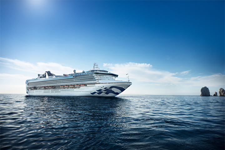 princess cruises on line