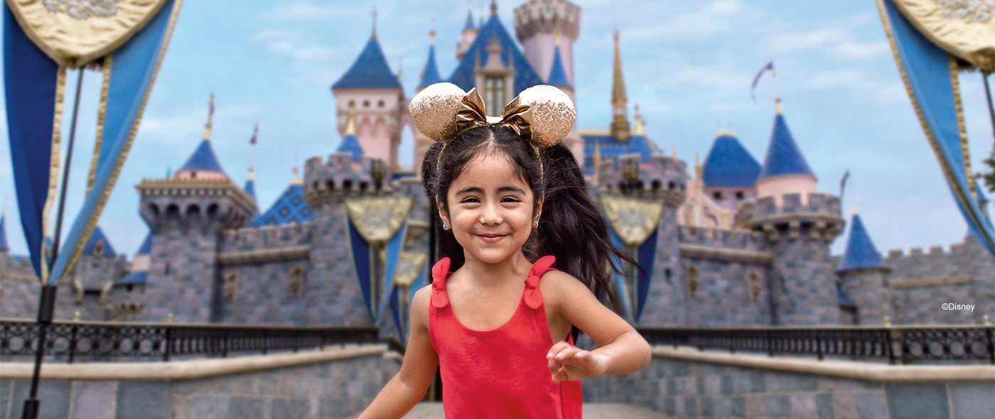 Disney Costco Travel