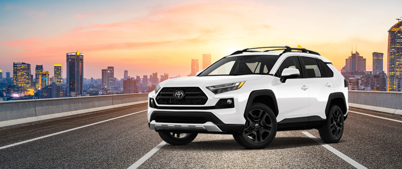 Disney Costco Travel