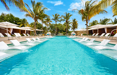 costco travel excellence punta cana