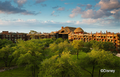 animal kingdom safari price