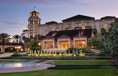 disney yacht club cost per night