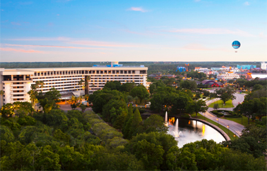 disney yacht club alligator