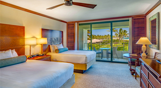 costco travel grand hyatt kauai