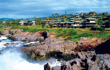 The Kapalua Villas Maui image 