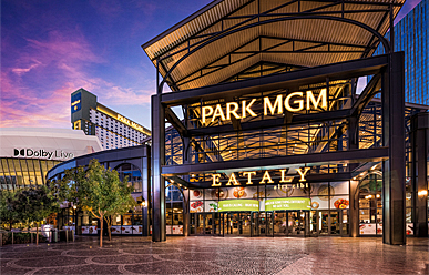 mgm travel packages